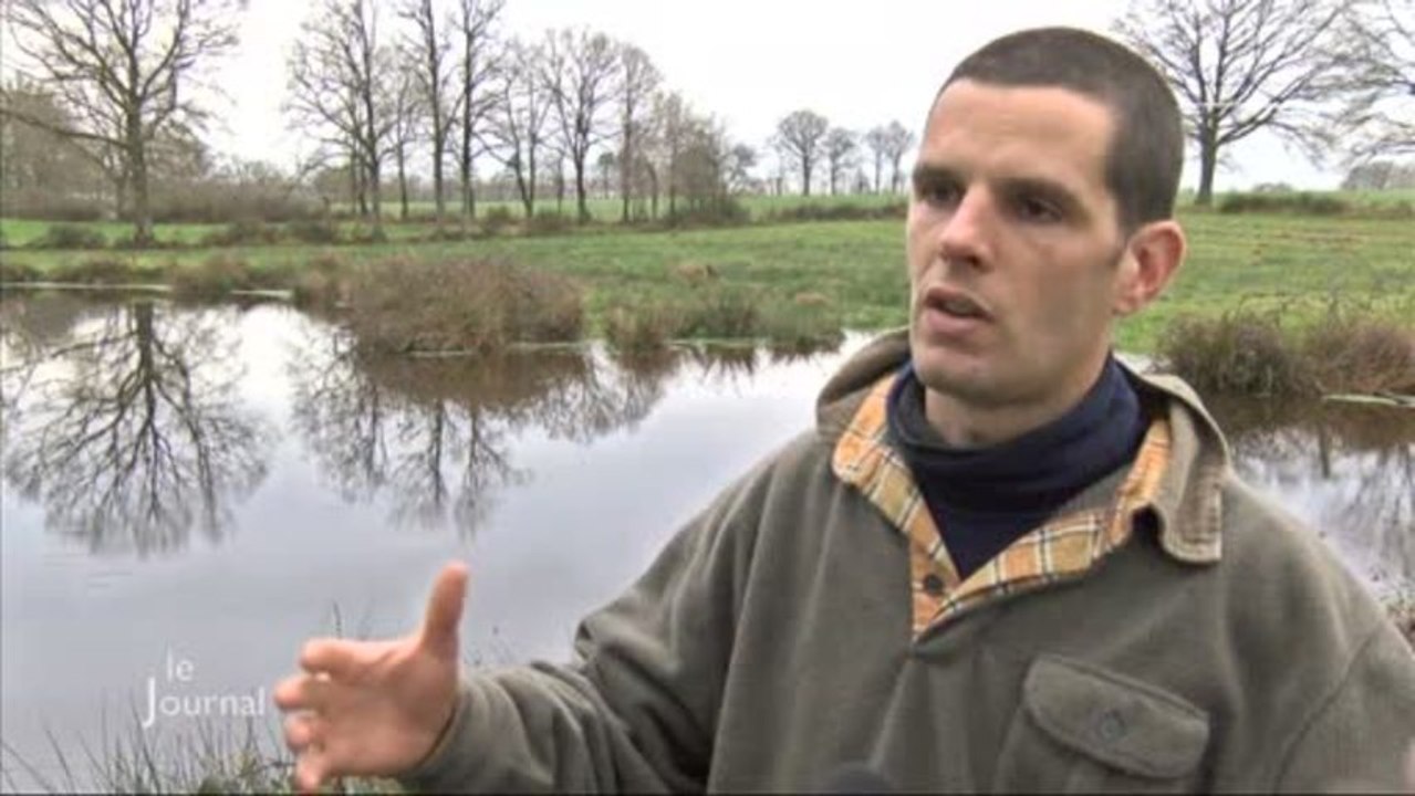 Agriculture: Opération de reboisement (La Chaize-le-Vicomte)