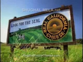 California Cheese   Comaugcaliforniacheese, Flv, Httpdpvdo, Cheese  ,   california_(new)