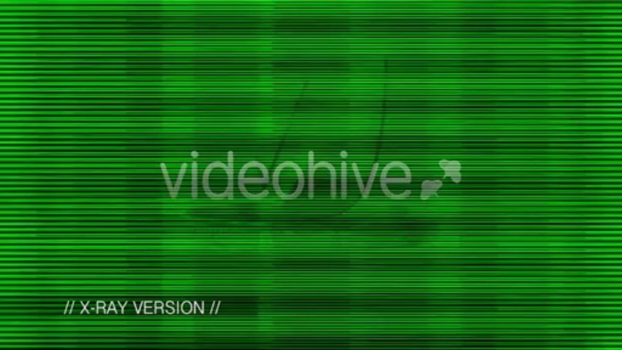 Logo Sting 4 Styles - After Effects Template