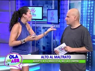 Conozca los cuidados que necesita una mascota recién adoptada