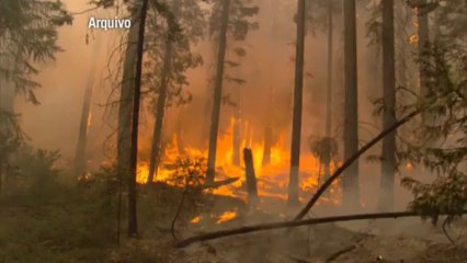 Emergencia en California por sequía
