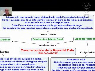 Aplicaciones Cuánticas en la Lucha contra la Roya del Café ☕️