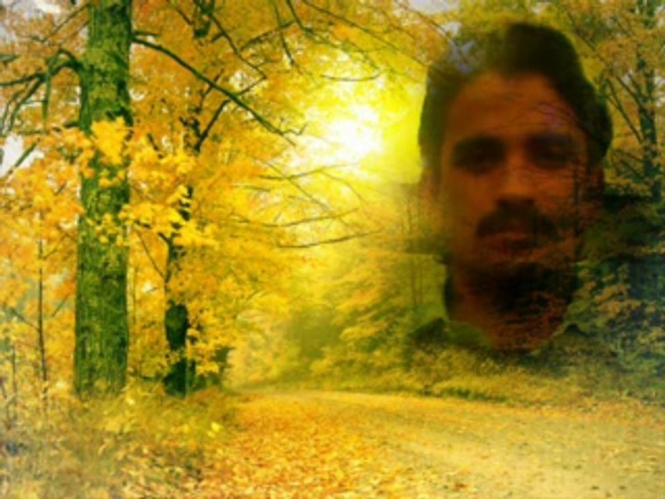 sohail hazara