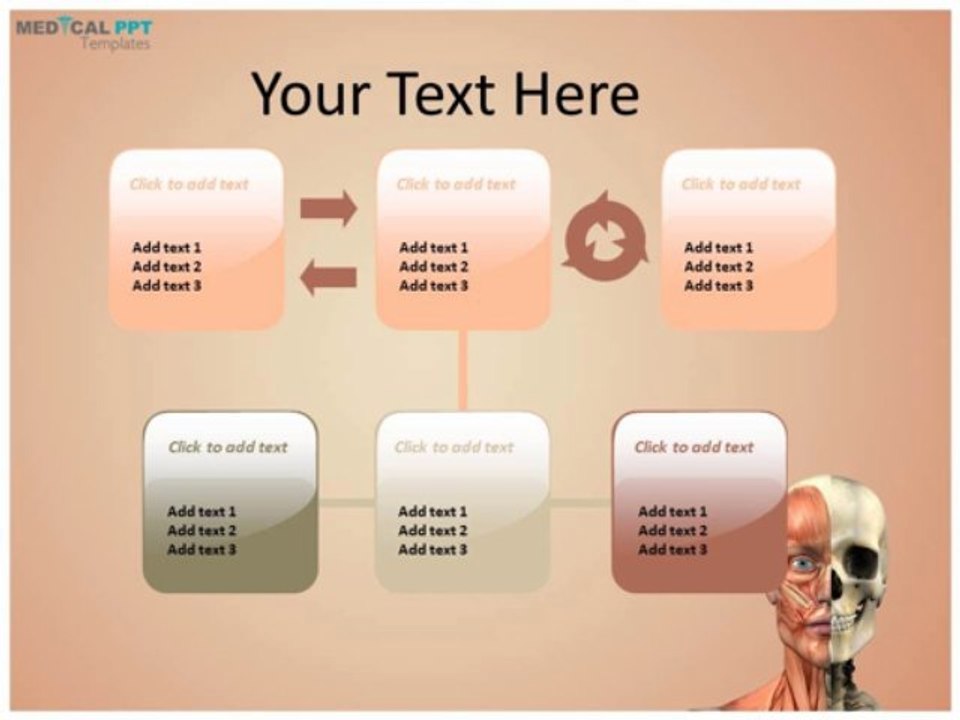 Face Anatomy PowerPoint Templates