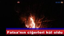 Fatsa'nın ciğerleri kül oldu