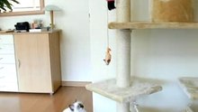 Hoog en droog