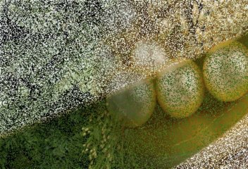 sửa wifi tại nhà huyện bình chánh - goi 0937851808 A .Tú