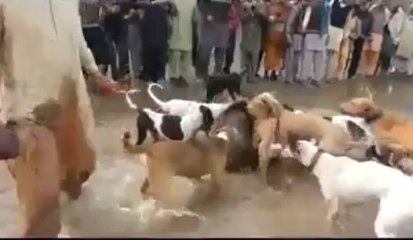 Zulm Ki Intaha - Video Dailymotion