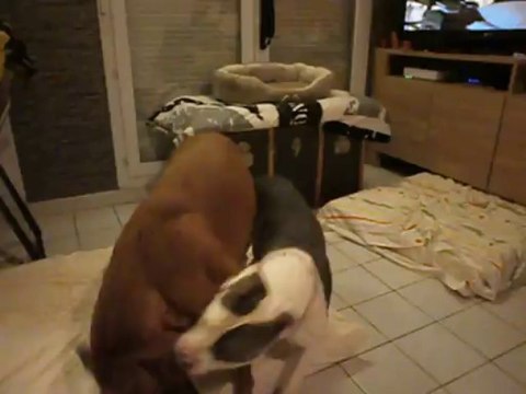 Eros et Nikita le 20/01/2014 n° 2