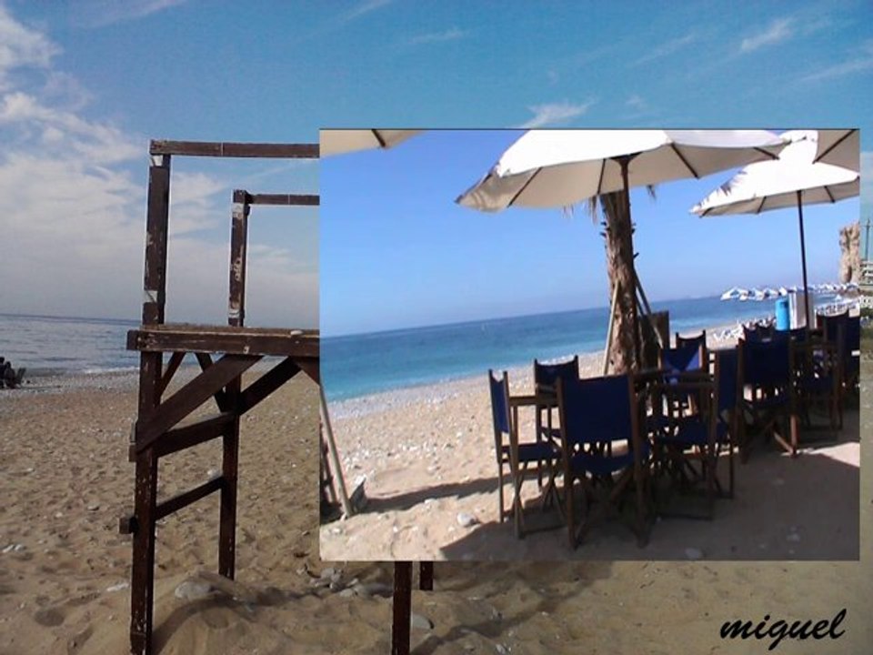 ply paraiso