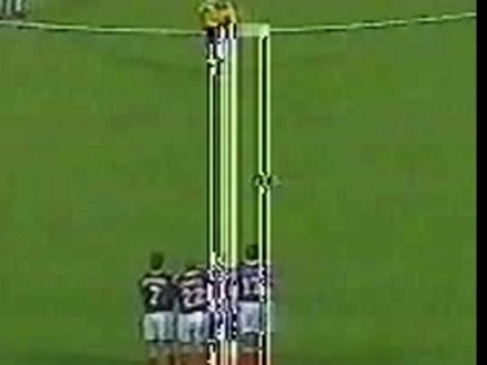roberto carlos great goal