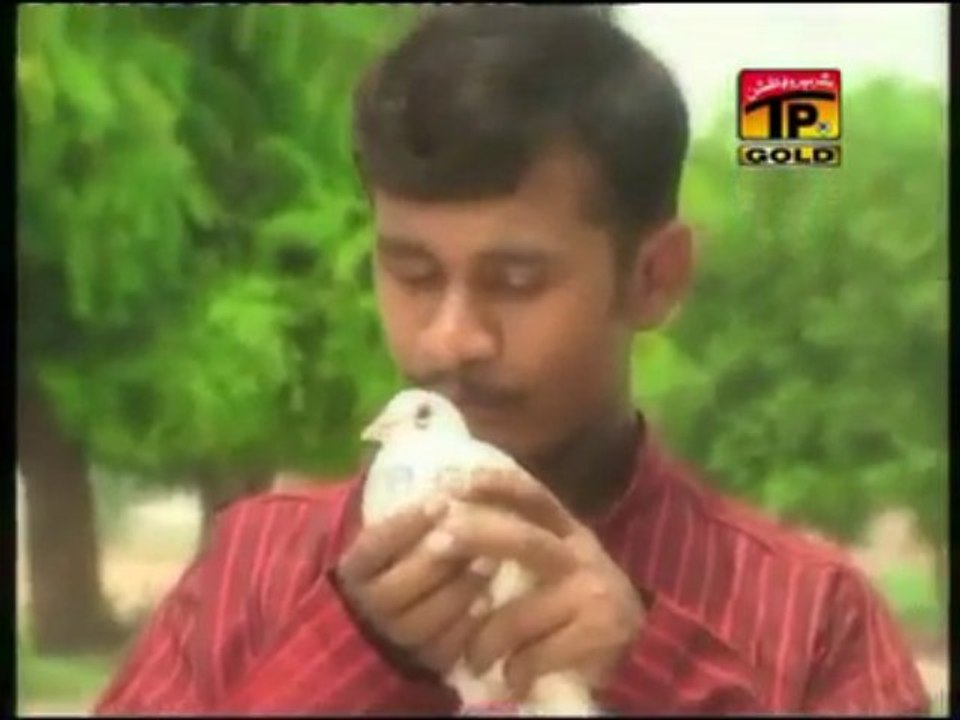 A beautiful song Lakka Kabotar  by Nasir Roshan