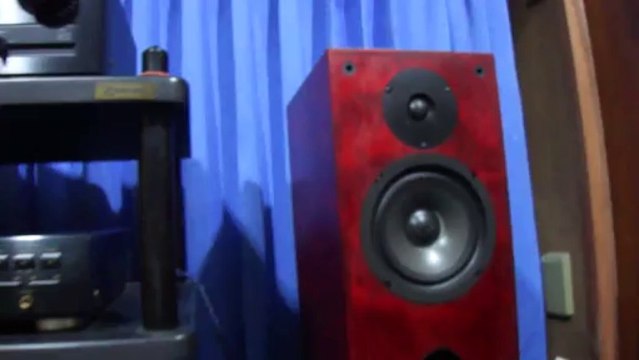 lungyim~Axis LS33 Loudspeakers ( 3 )