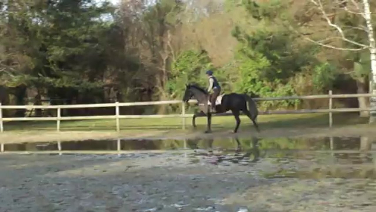 air de famille janvier 2014