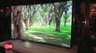 CES 2014 : TV incurvable par Samsung