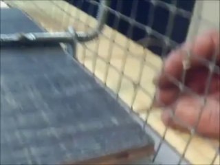Piége à lapin n°2 en détails