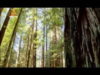 History Channel | Evren : Uzaylı Yüzleri