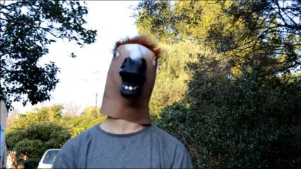 Fight [Magical Poney VS Tony Fou]