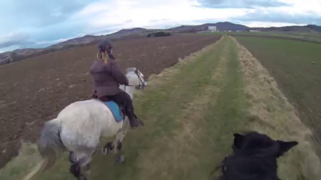 Galop 17 janvier 2017