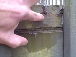 Home Inspection Seattle | The Home Detective