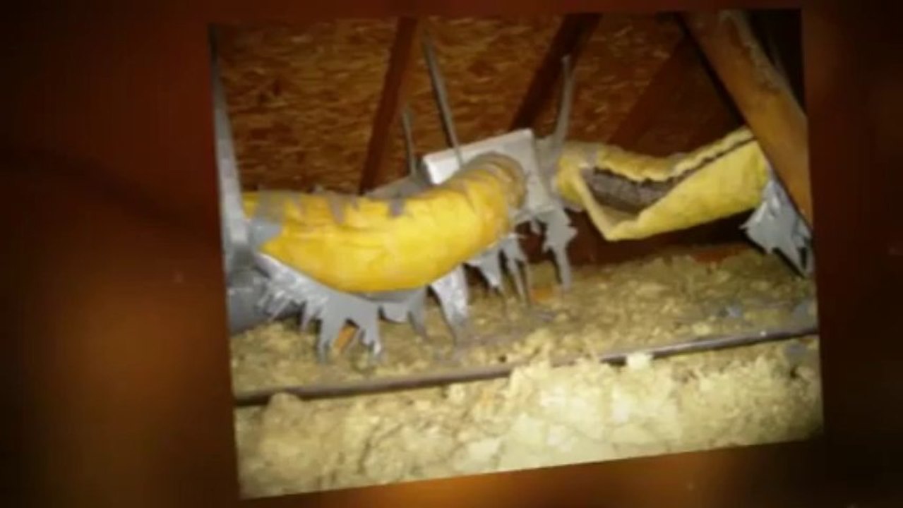 Home Inspection Vancouver | A-Z Home Inspections