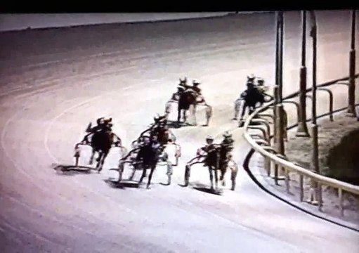 Harness Racing – Ontario Sire Stakes