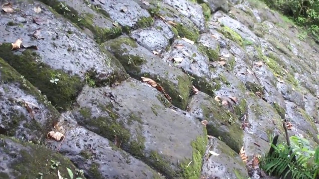 Amazing Pyramide d'Amazonie découverte(s) Wall Detail HD