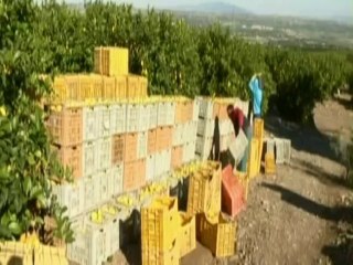 IL TAVOLO DI MONTESCAGLIOSO E IL NUOVO PSR 19-1-2014