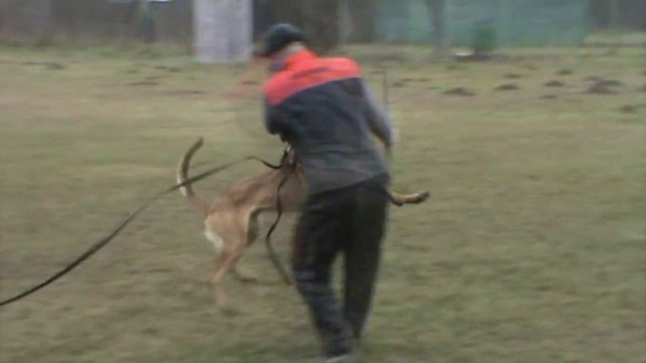 Be Aware Firestarter @ Training-18.01.2013