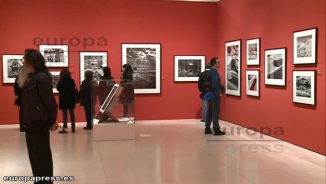 'Génesis', exposición de Sebastiao Salgado en CaixaForum