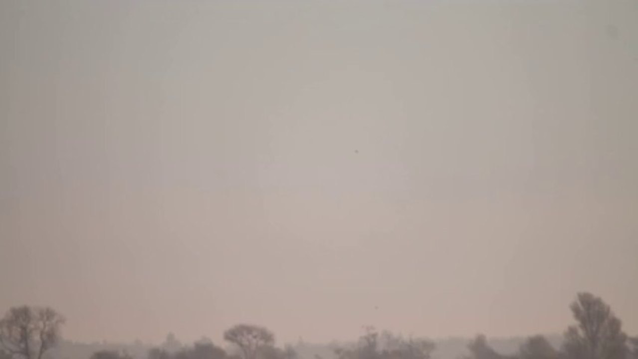 Battue de Foulques St Lumine 19/01/2014 N°1