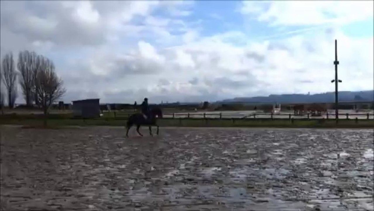 Run galop 19 janvier