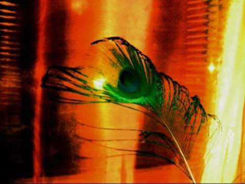 Making-of du clip Rentrer au port de Mano Solo