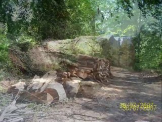 Hacımusalıdam müthiş bir türkü