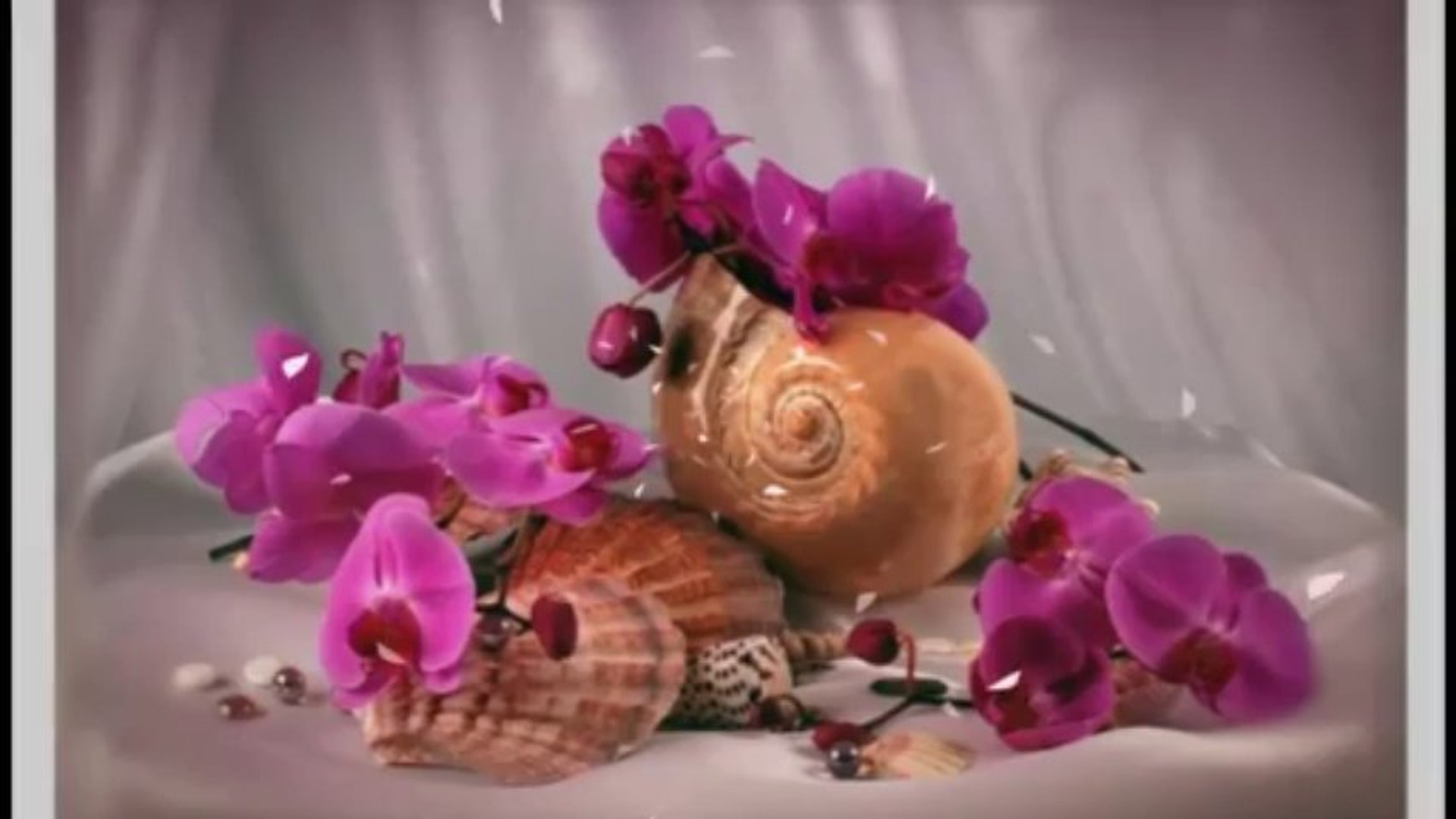 Бережно цветы. Натюрморт с ракушками и цветами. Натюрморт с орхидеями. Морской натюрморт. Натюрморт с ракушкой.