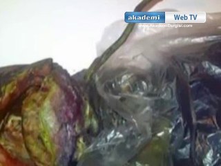 Rusya'da uzaylı cesedi bulundu. Yetkililer cesede el koydu.