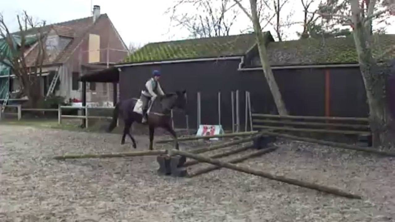 air de famille 1er obstacle janv 2014