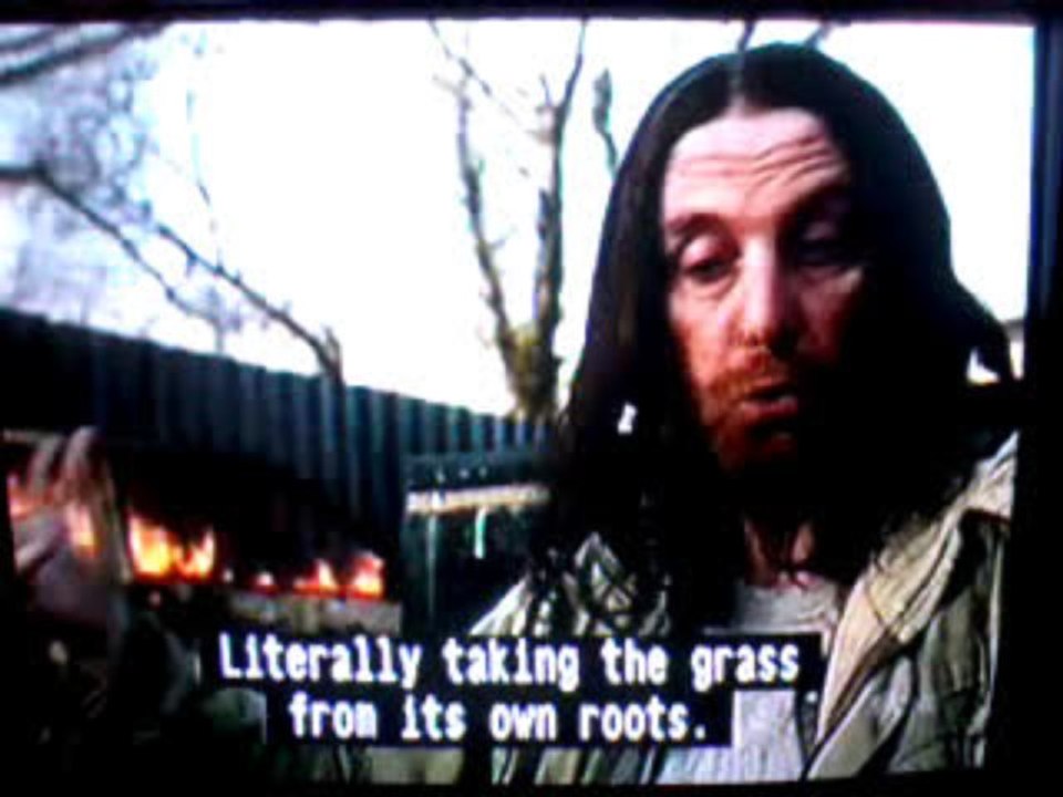 Shameless