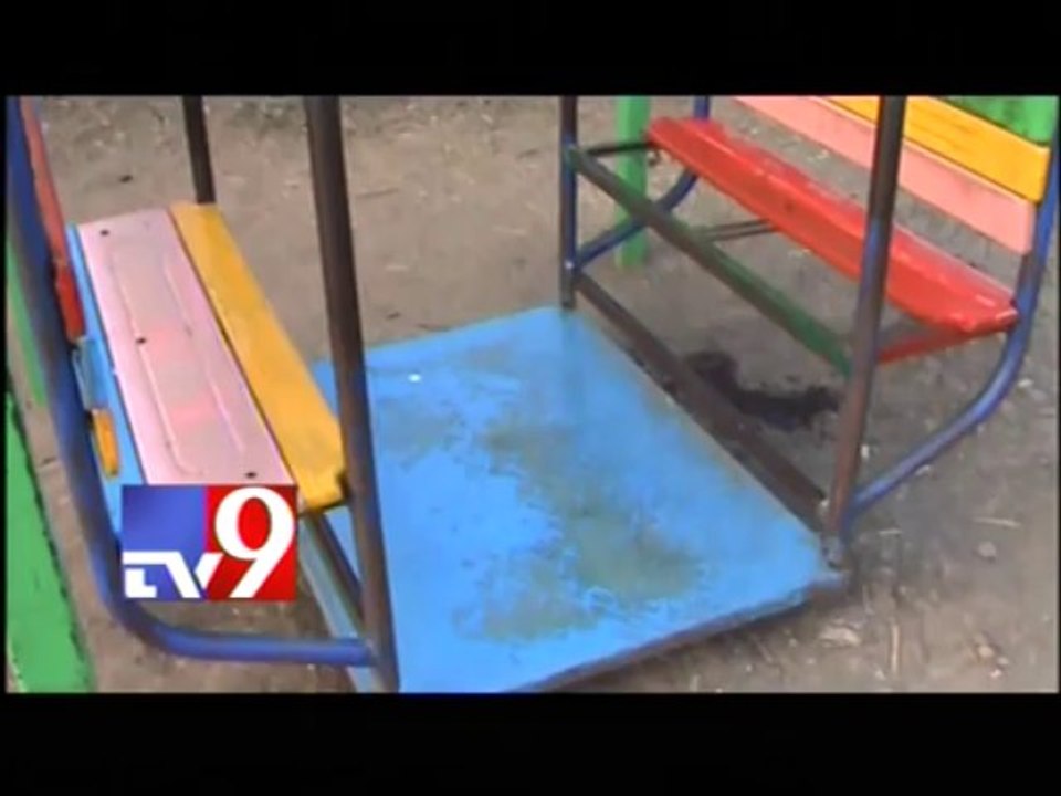 Boy dies after fall from swing
