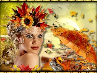 Photos/ ImagesJosy 5050