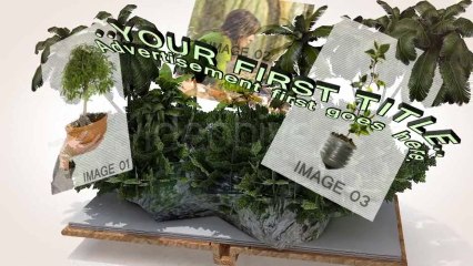 Popup Book 2012 - Natural - After Effects Template