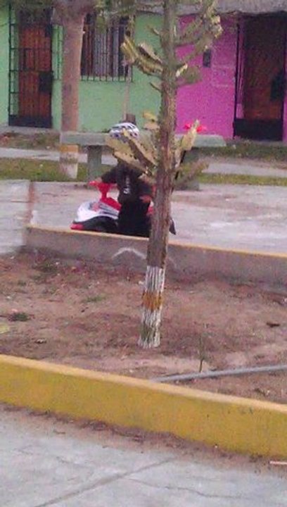 Rodri1