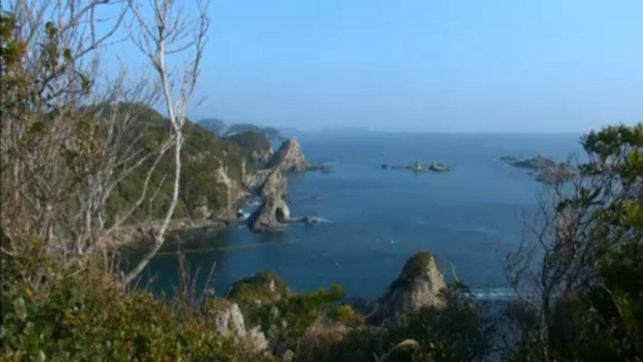 Dolphin killing starts at Taiji cove in Japan