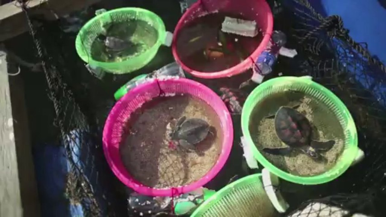 Ex-ballerina ist chinas erste profi-surferin