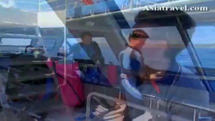 Margaret River, Perth by Asiatravel.com