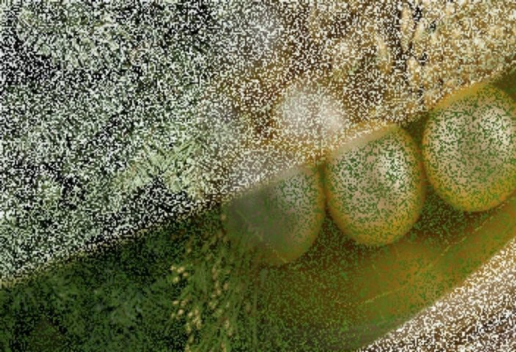 lắp đặt WIFI , càI ĐẶT wifi TẠI NHÀ QUẬN 7 - GỌI 0937851808 a.tÚ