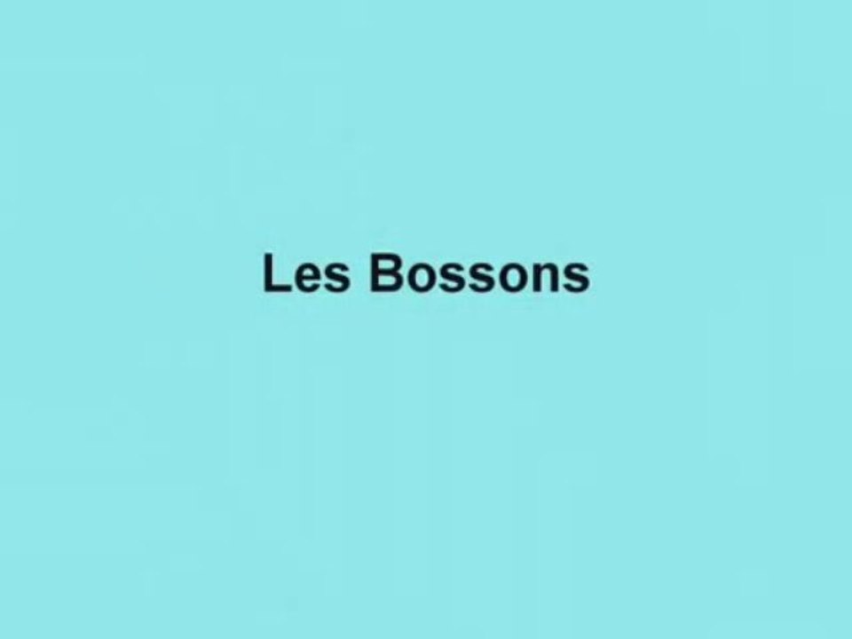 AlpyBus low cost Airport bus services to Chamonix valley - private and shared services per convenience