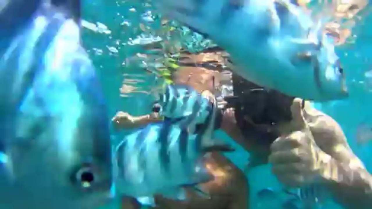 ile maurice plongée Anthony et David