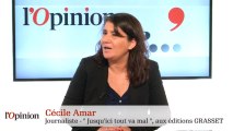 La petite phrase de Cécile Amar