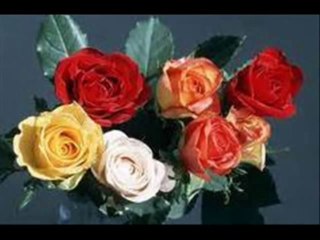 MERAL MANSUROĞLU _ SEN OLMASAYDIN